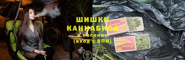 соль ск Иннополис