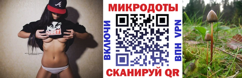 Купить  Валуйки  Галлюциногенные грибы прущие грибы 